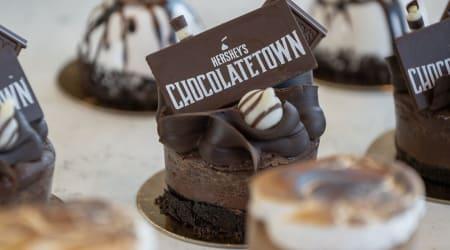 Chocolatetown cupcakes